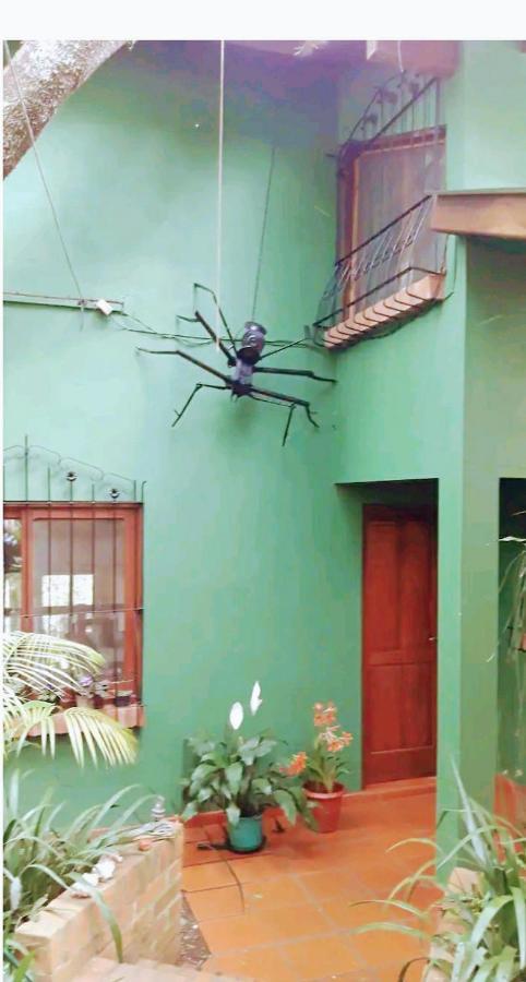 Jardin De Naipi Leilighet Puerto Iguazú Rom bilde